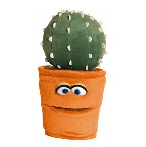 Handpop bloempot met cactus
