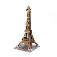 Eiffel Tower (35)